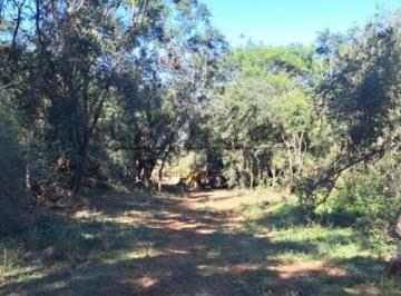 Imagem 1 · Fazenda