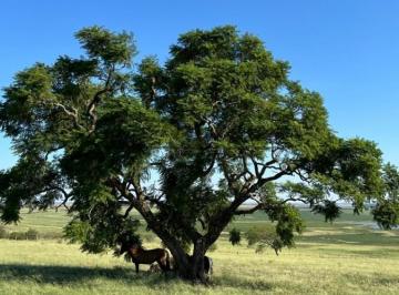 Imagem 1 · Fazenda