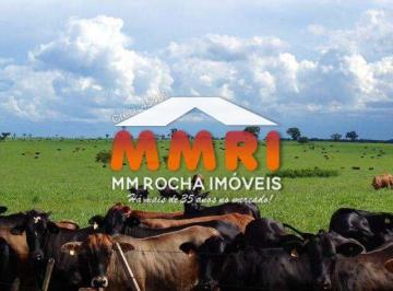 Imagem 1 · Fazenda