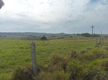 Imagem 1 · Fazenda