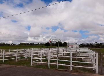 Imagem 1 · Haras e Área Rural Padrão