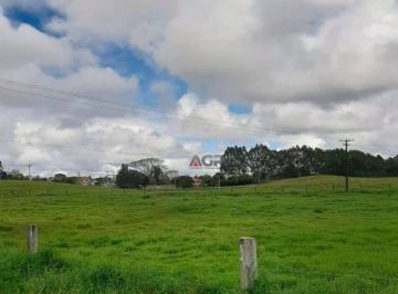 Imagem 1 · Haras e Área Rural Padrão