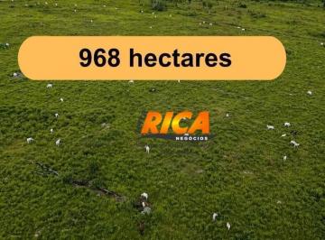 Imagem 1 · Fazenda