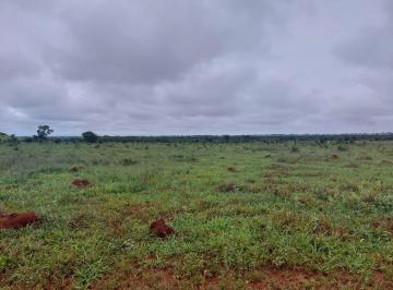 Imagem 1 · Fazenda