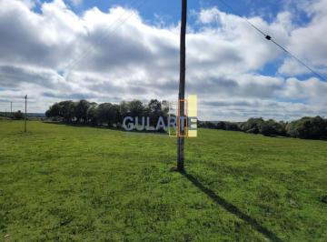 Imagem 1 · Fazenda para venda em Centro, Encruzilhada do Sul