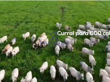 Imagem 1 · Fazenda