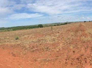 Imagem 1 · Fazenda