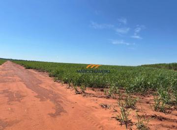 Imagem 1 · Fazenda