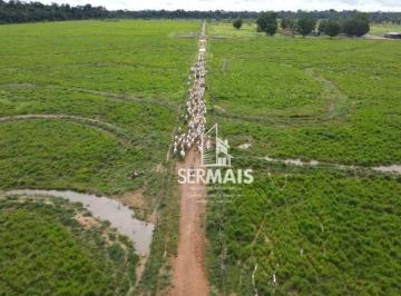 Imagem 1 · Fazenda