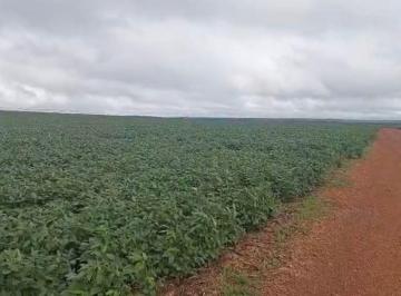 Rural , Cristalina · Cristalina-GO (99 kms.de Brasília-DF, na beira da BR 040 São 2.000 hectares