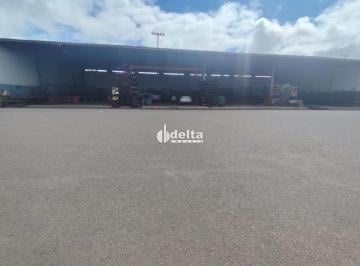 Comercial · 5000m² · 30 Vagas · Galpão disponível para locação no bairro DISTRITO INDUSTRIAL Aparecida em Uberlândia-MG