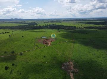 Rural · 8000m² · Fazenda à venda em Belém/PA