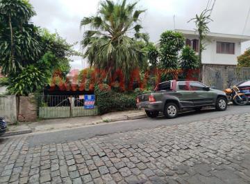 cf5e40a51f3efb611f5225b0a94c69f4.jpg · Terreno