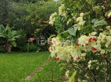 61703191 · Casa, 3 dormitórios, 100 m², em Centro
