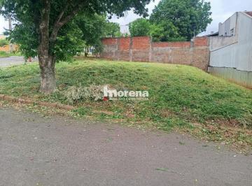 Terreno · 220m² · VENDA | Terreno,  em Jardim Mônaco, Umuarama