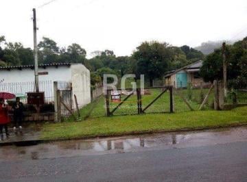 .jpg+2025-03-05 · Terreno para Venda - 0m², 0 dormitórios, Belém Velho