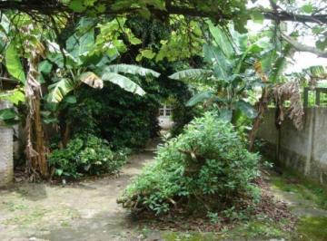 .jpg+2025-03-05 · Terreno para Venda - 0m², 0 dormitórios, Tristeza