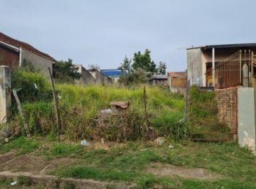 .jpg+2025-03-04 · Terreno para Venda 299m², Tristeza