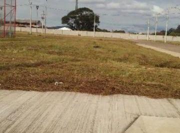 .jpg+2025-03-05 · Terreno para Venda - 0m², 0 dormitórios, Hípica