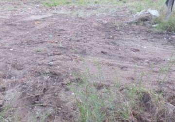.jpg+2025-03-05 · Terreno para Venda - 0m², 0 dormitórios, Aberta Dos Morros