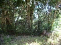 .jpg+2025-03-05 · Terreno para Venda - 0m², 0 dormitórios, Belém Novo