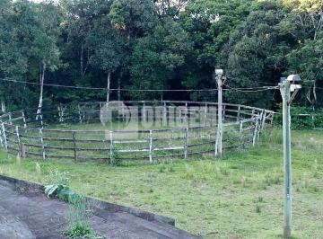 770916750.jpg · Chácara com estrutura para Haras em Campo Largo                                                     