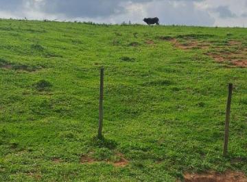 Rural de 2 quartos, Ibiúna · SÍTIO FAZENDINHA DE 22 ALQUEIRES COMO CRIAÇÃO DE BÚFALOS, LAGOS É NASCENTE E PASTOS DE 15 ALQUEIRES