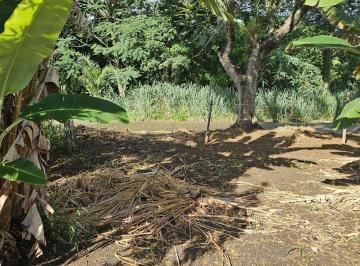 1000504921.jpg · Terreno à venda, Vitória Vale II, Pindamonhangaba, SP