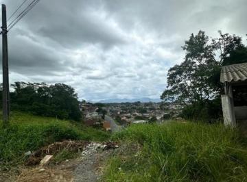8b161ec09797b15ec1d1855fbd2523a3.JPEG · TERRENO