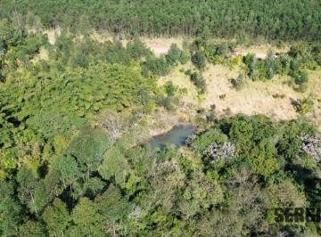 Rural , Montenegro · 25.000 M2 EM FRENTE A BR-386 PARA CHÁCARA NA REGIAO DA VENDINHA