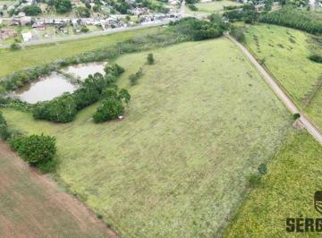 Rural , Triunfo · EXCLUSIVIDADE: 7 HECTARES NO BARRET0 -TRIUNFO RS - FRENTE DO ASFALTO