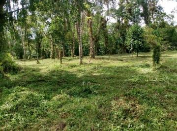 Terreno , Itanhaém · Terreno com escritura em Itanhaém. - R$ 75.000,00.