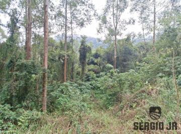 Rural , Doutor Ricardo · 21,2 HECTARES PARA SÍTIO COM MUITA NATUREZA
