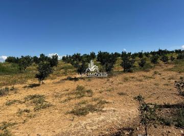 i1.jpg · VENDO FAZENDA LARANJA 240HECTARES EM BIQUINHAS MG