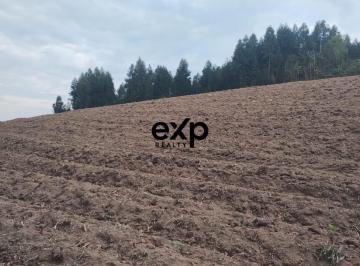 Rural · 31460m² · 1 Quarto · CHÁCARA BAIRRO LEÃO AGUDOS DO SUL PR