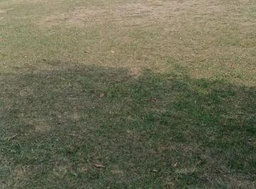 Terreno , Taubaté · Taubaté Condomínio Oasis 250 m terreno privilegiado De 293mil p/ 280 mil