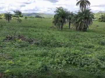 60e1b603d9af349aafff5586ce4b1ff1.jpg · Fazenda / Sítios / Chácaras à venda em Pitangui, no bairro Zona Rural