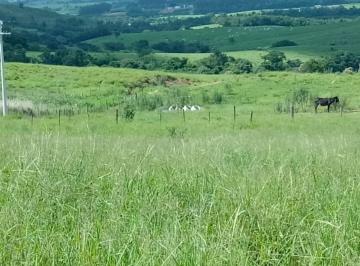 Rural , Cesário Lange · Haras em Cesário Lange