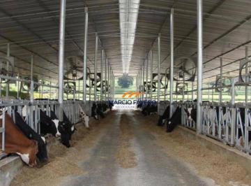 Imagem 1 · Fazenda
