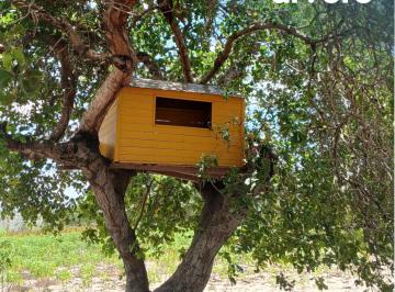 Rural de 3 quartos, Agreste Potiguar · Sítio à venda em Monte Alegre/RN com 8ha, lago, riacho perene e casa na árvore