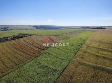 Rural · 60m² · 1 Quarto · 6 Vagas · Sítio em Estrada São Domingos - Jardim São Domingos - Maringá/PR