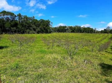 Rural , Mogi das Cruzes · RARIDADE! ÁREA RURAL VASTAMENTE PLANA EM COCUERA