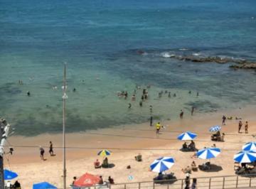 Apartamento de 2 quartos, Salvador · Apartamento 2 quartos, Ondina. Restaurante, lavanderia, salão beleza