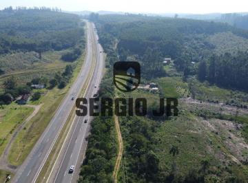 Rural , Tabaí · 6,7 HECTARES PARA SITIO EM FRENTE A BR-386 PRÓXIMO A NOVA FABRICA DA FRUKI