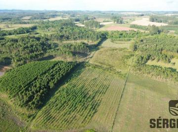 Rural , Triunfo · ÁREA DE TERRAS PARA SÍTIO OU AGROPECUÁRIA EM TRIUNFO-RS