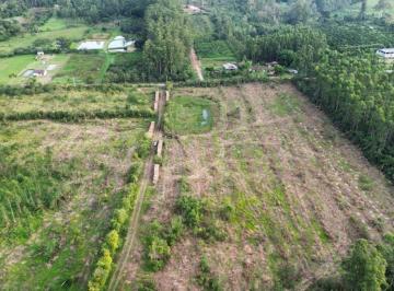 Rural , Montenegro · ÁREA DE 33,6 HÁ PARA AGROPECUÁRIA, CITRICULTURA OU REFLORESTAMENTO A 5 KM DO ASFALTO E 16 KM DE MON