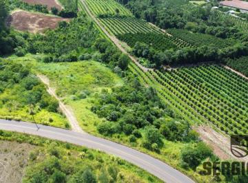 Rural , Pareci Novo · ÁREA DE 11,9 HÁ FRENTE PARA ASFALTO NO DESPIQUE, PRÓXIMO A POSTO DE SAÚDE E DA EMPRESA FG FRUTAS