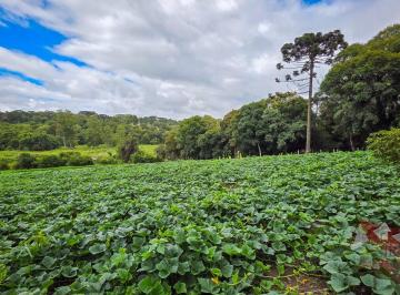 Rural de 2 quartos, São José dos Pinhais · Chácara a Venda