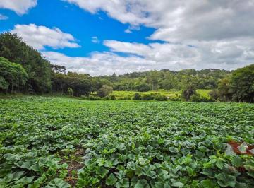 Rural de 2 quartos, São José dos Pinhais · Chácara a Venda em São José dos Pinhais