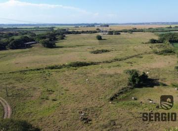 Rural , Triunfo · AREA PARA ARROZ OU PECUÁRIA EM TRIUNFO-RS